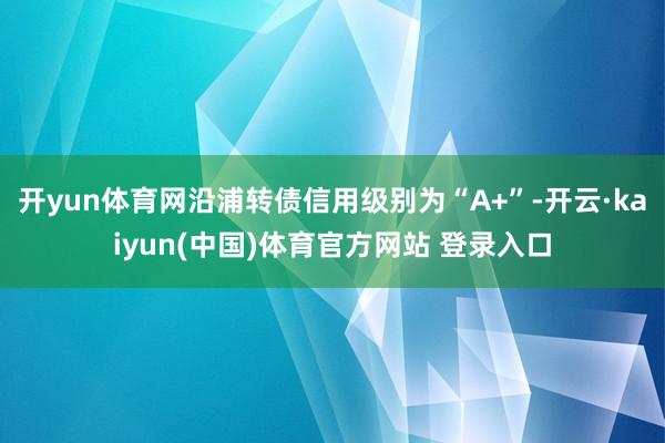 开yun体育网沿浦转债信用级别为“A+”-开云·kaiyun(中国)体育官方网站 登录入口