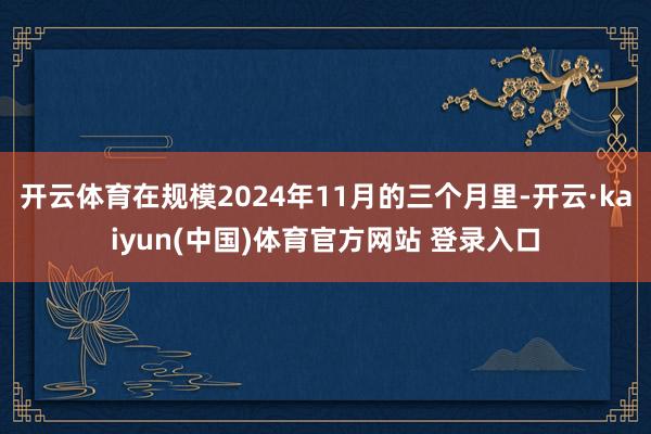 开云体育在规模2024年11月的三个月里-开云·kaiyun(中国)体育官方网站 登录入口
